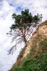 Summer nature, digital detox, escape and getaway, calm summertime, lifestyle outdoors, local travel and vacation