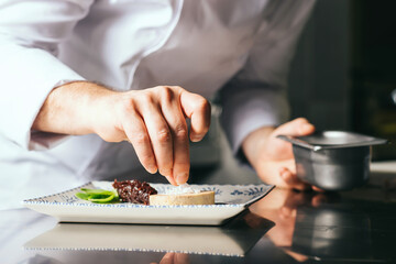 the chef decorates a plate of foie gras - obrazy, fototapety, plakaty