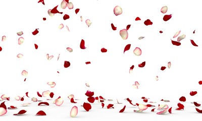 White and red rose petals fly and fall to the floor