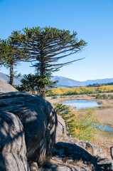 Lago en el valle