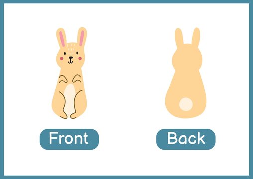 Front and back opposite adjectives educational wordcard. Flashcard with a cute rabbit for school and preschool. Activity page for kids. Vector illustration
