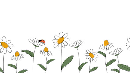 Seamless border of daisies hand drawn in simplified children cartoon naive style on white background.Cute ladybug sitting on flower.For design of website or shop for spring or summer.Vector