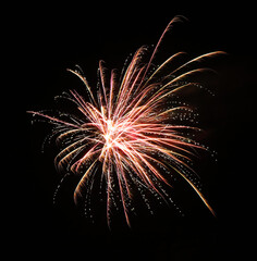 Beautiful bright firework lighting up night sky