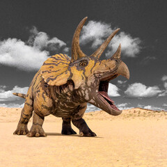 triceratops is angry © DM7