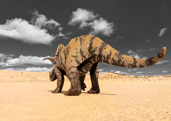 triceratops rear view © DM7