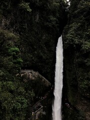 waterfall in the forest