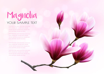 Nature background with blossom branch of pink magnolia. Vector
