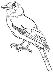 cartoon jay bird comic animal character coloring book page