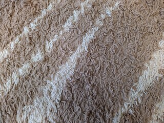 soft carpet of brown and white color closeup photo