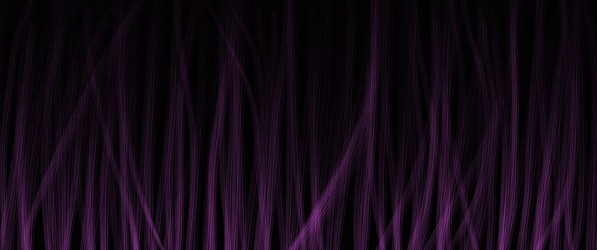 Purple Curtain With Alpha