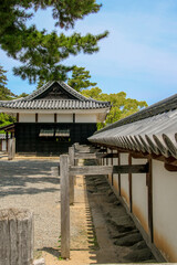 Fototapeta premium 松江城
