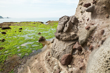 Fototapeta na wymiar 干潮で青藻の現れた西方海岸 