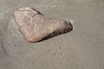 砂浜の砂に埋もれる小石	