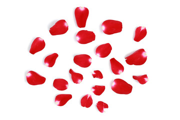 Red Rose petals isolated on white background - Clipping path