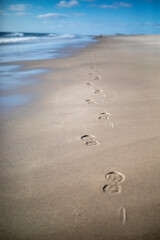 Fototapeta na wymiar Foot prints in the sand in a beach.
