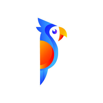 bird colorfull awesome logo design vector