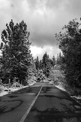Winter Road B&W Photograph