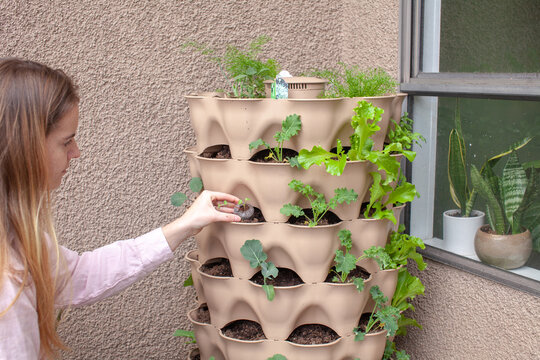 A Young Blonde Woman Is Planting A Vertical Tower Garden With Herbs And Vegetables On Her Apartment Patio, In The Early Spring. She Is Holding A Small Starter, Ready To Plant It.