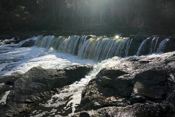 waterfall in the park