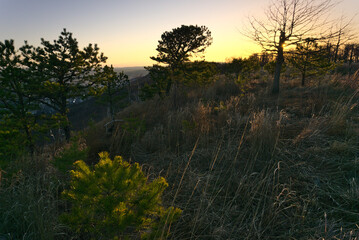 sunrise on the mountain