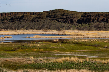 Pothole Lake and Basalt Cliffs in Columbia National Wildlife Refuge Near Othello Washington in Spring