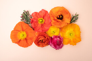 Vibrant pink and orange poppies floral flat lay on blush background