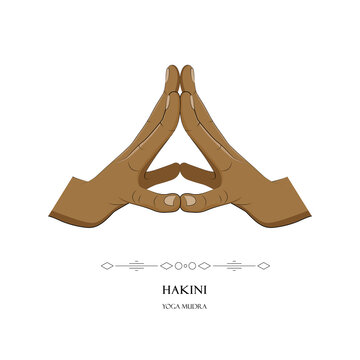 Hand in Hakini yoga mudra isolated on a white background. Yogic hand gesture.Vector illustration