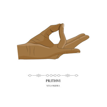 Human hand in Prithvi yoga mudra on a white background. Yogic hand gesture.Vector illustration