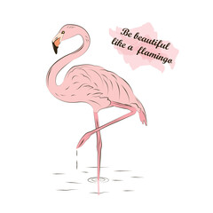 Pink flamingo with text quote on watercolor background. Isolated vector line art illustration on white background.