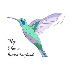Hand drawn illustration of a flying little hummerbird with text quote on white background. Vector lineart illustration