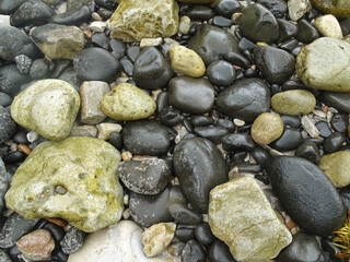 Smooth rocks strewn about the shoreline on a rugged beach.