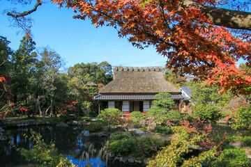 Fototapeta premium 依水園