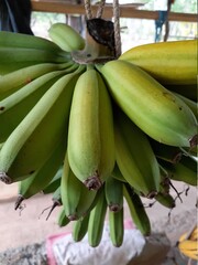 green bananas food