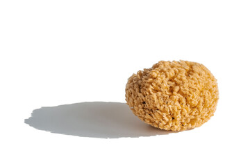 Natural sea sponge on a white background