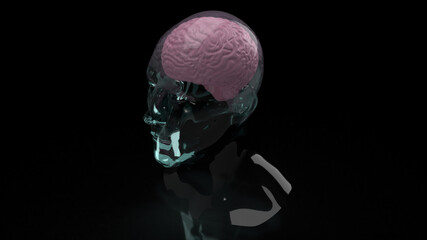 The brain inside crystal head for education or sci content 3d rendering