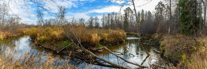Panoramic view of the turn of the Chur River with fallen trees in the foreground. Yakshur-Bodinsky district, Udmurt Republic, Russia.