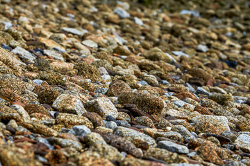 Crushed stones and huge rocks on the beach