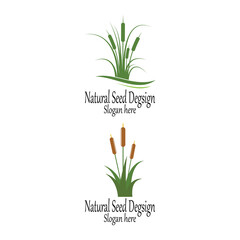 Reeds icon vector design template and symbol