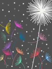 Dandelions on dark background. Free hand Line drawing