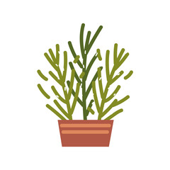 potted plant decoration