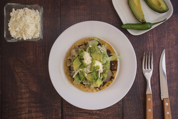 Traditional Mexican food, toast of beef leg with guacamole, lettuce, cream cheese and avocado.
