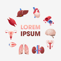 set human internal organs anatomical stomach liver kidneys lungs heart brain kidneys eye muscles icons collection anatomy healthcare medical concept copy space
