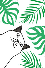 Cat tells you to wake up on the beach under palms