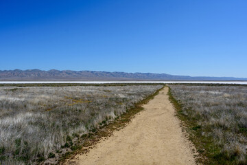 Fototapeta premium Unpaved hiking trail leads to salt flats of dry Soda Lake bed at Carrizo Plain National Monument on hot sunny day. Temblor Range mountains on horizon.
