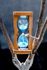 Hourglass on a tree in sunny weather