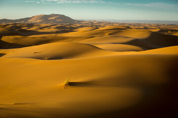 Sand dunes in Sahara desert