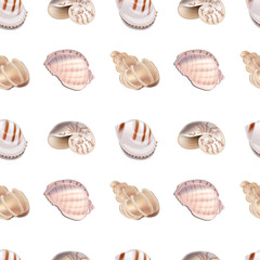 Seamless pattern with marine shells. Endless texture for your design. Illustration can be used for interior decoration.