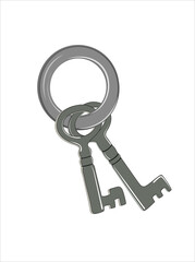 The keys to the lock are isolated on a white background. vector