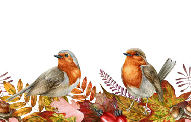 Fototapeta premium Autumn leaf and robin birds seamless border. Watercolor illustration. Red, orange fallen leaves endless ornament. Backyard robin birds. Bright fall foliage elements seamless border. White background