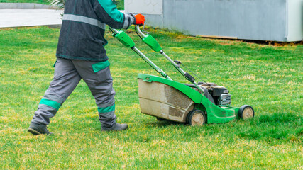 The gardener cutting grass by lawn mower